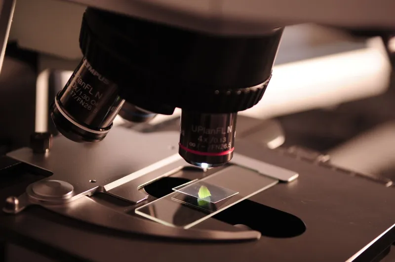 Thread by Thread: How Conductive Nanofibers Are Rewriting the Rules of Wearable Technology